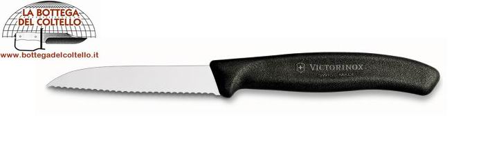 Victorinox spelucchino cm 8 seghettato
