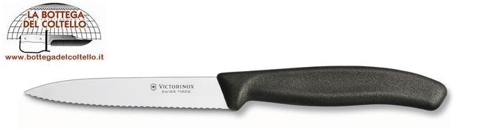 Victorinox Coltello spelucchino seghettato 