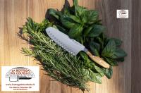 Wusthof Santoku Amici ulivo