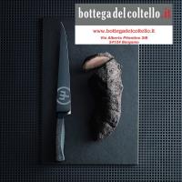 Wusthof Performer coltello affettare